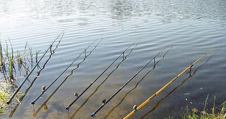 How to make a fishing rod.  DIY fishing rod.  Tips for beginners.  Making a self-cutting fishing rod